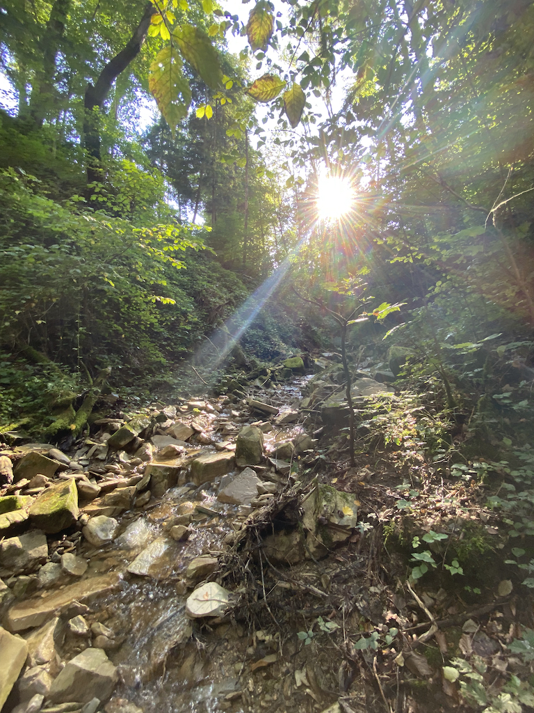 Ulrichshögl Wanderweg in Ainring